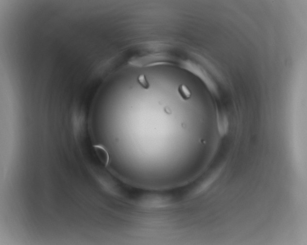 X0000114400597200910231111