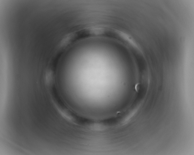 X0000114400598200910231111