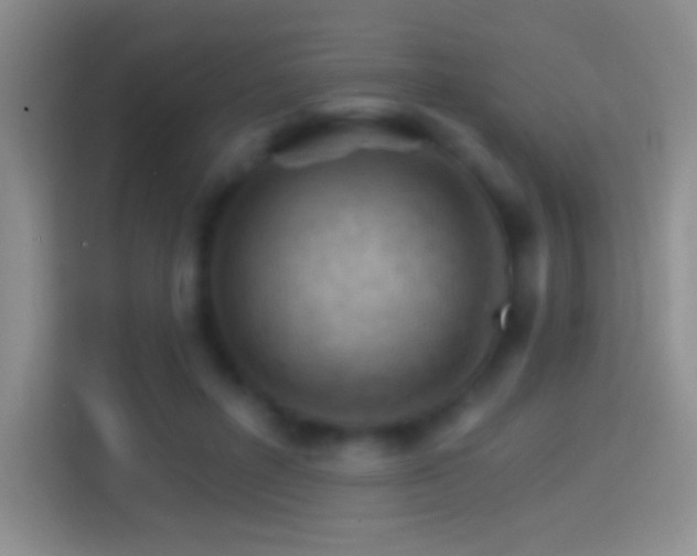 X0000114400600200910231111