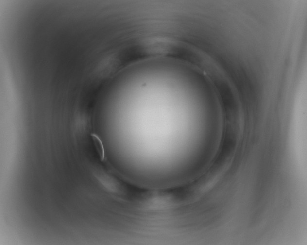 X0000114400601200910231111