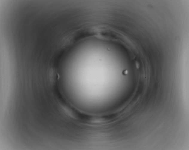 X0000114400605200910231111