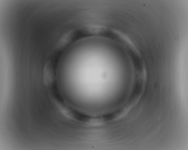 X0000114400606200910231111