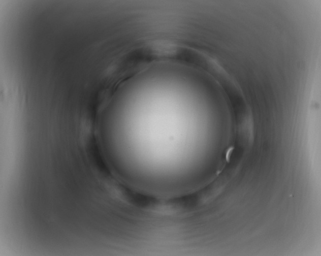 X0000114400608200910231111