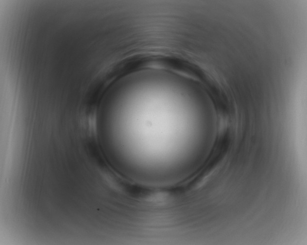 X0000114400609200910231111