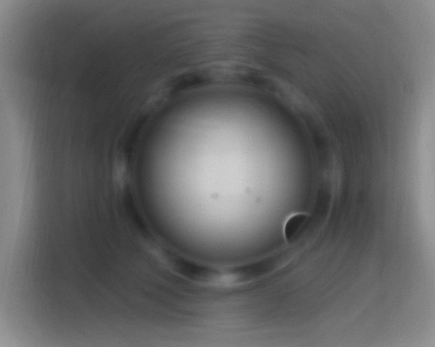 X0000114400610200910231111