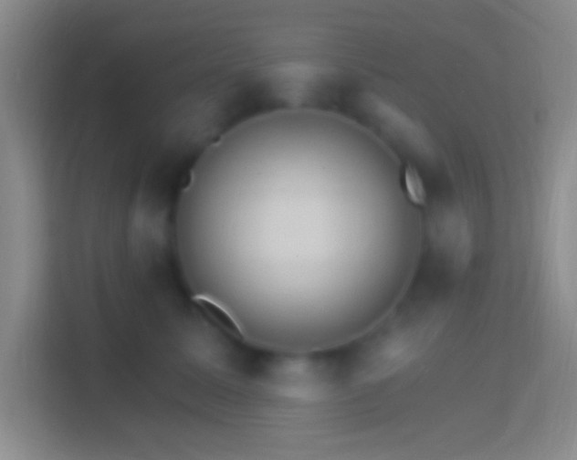 X0000114400611200910231111