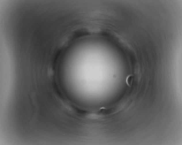 X0000114400614200910231111