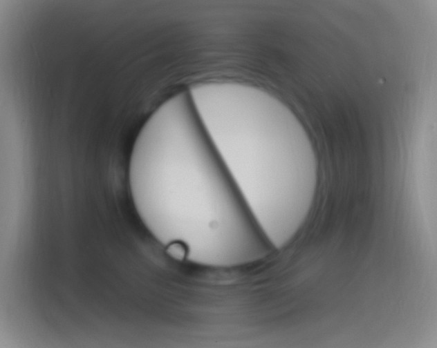 X0000114400615200910231111