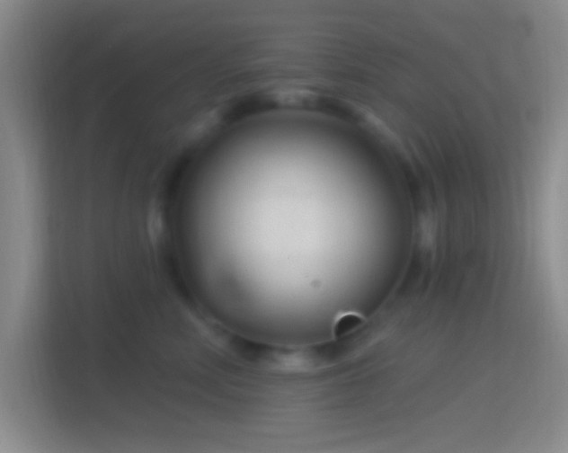 X0000114400618200910231111