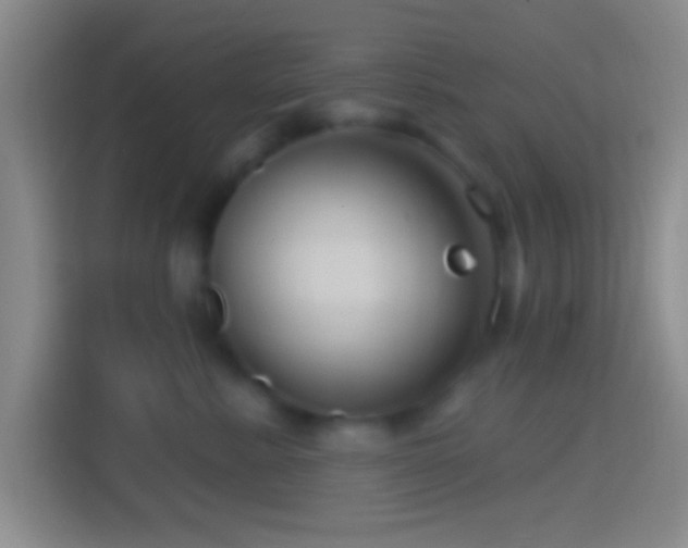 X0000114400619200910231111