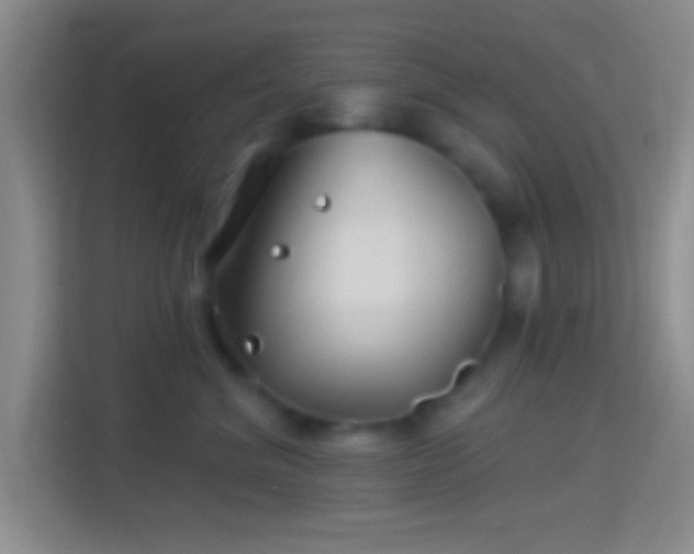 X0000114400620200910231111