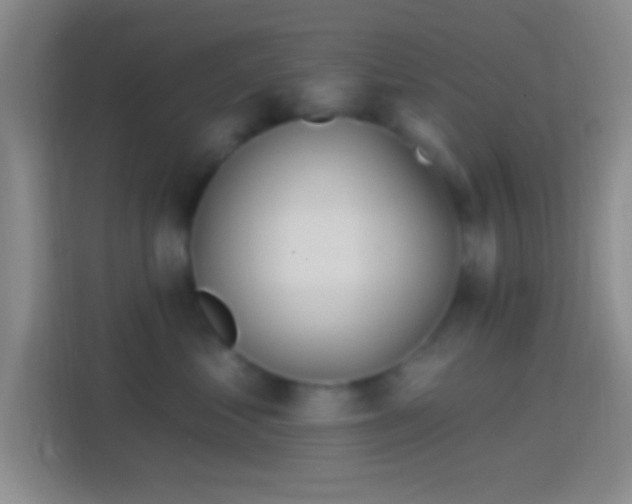 X0000114400621200910231111