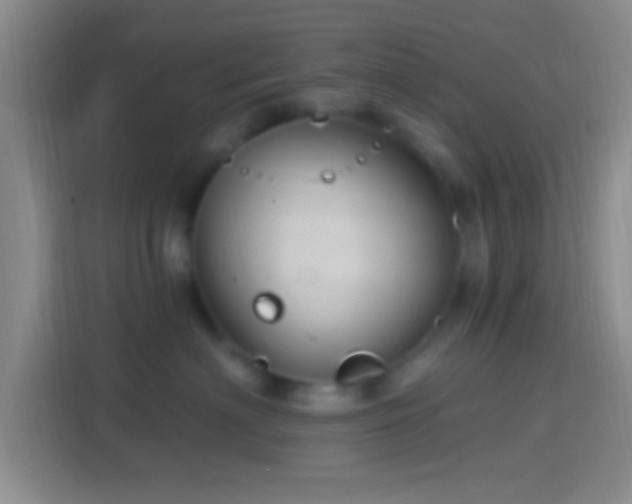 X0000114400622200910231111