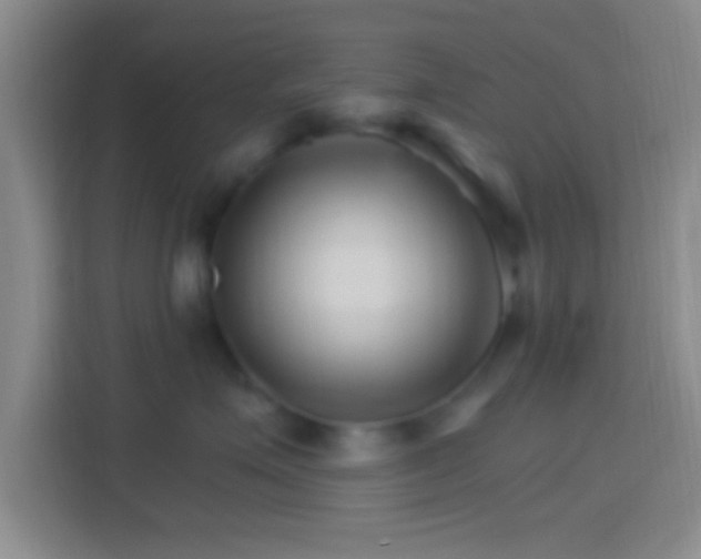 X0000114400623200910231111