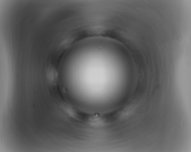 X0000114400624200910231111