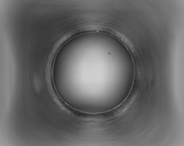 X0000114400625200910231110