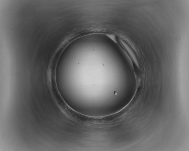 X0000114400626200910231110