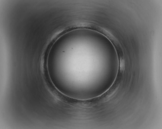 X0000114400627200910231110