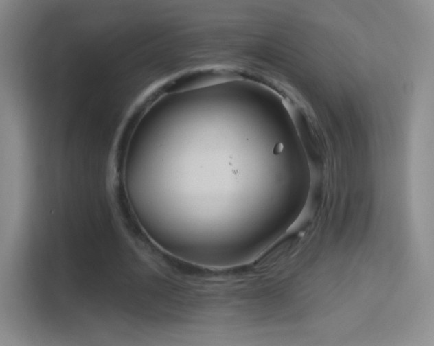 X0000114400628200910231110