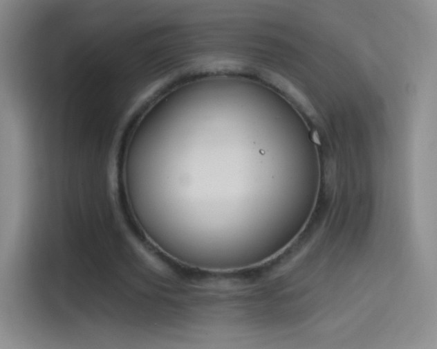 X0000114400629200910231110