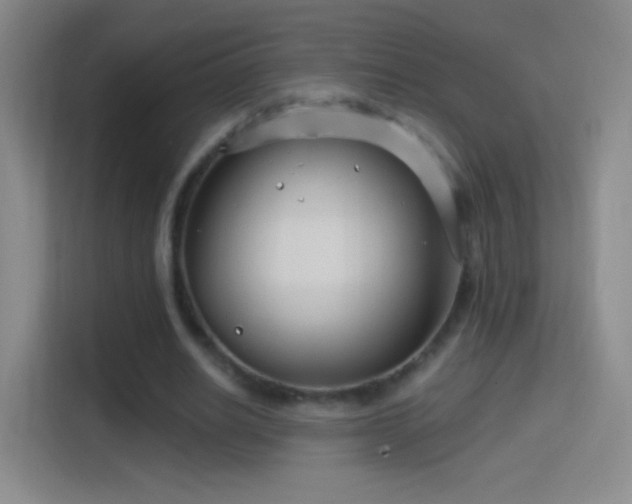 X0000114400630200910231110