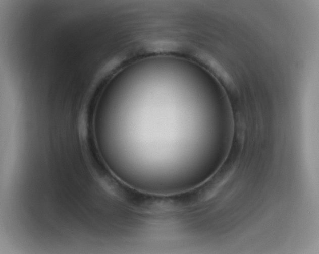 X0000114400631200910231110