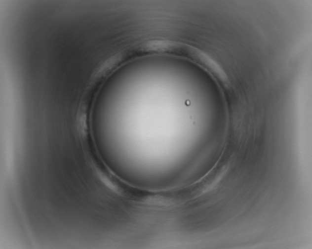 X0000114400633200910231110