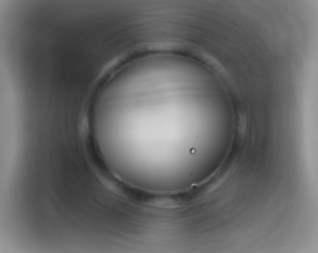 X0000114400636200910231110