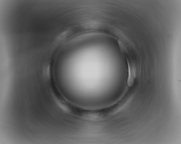 X0000114400638200910231110