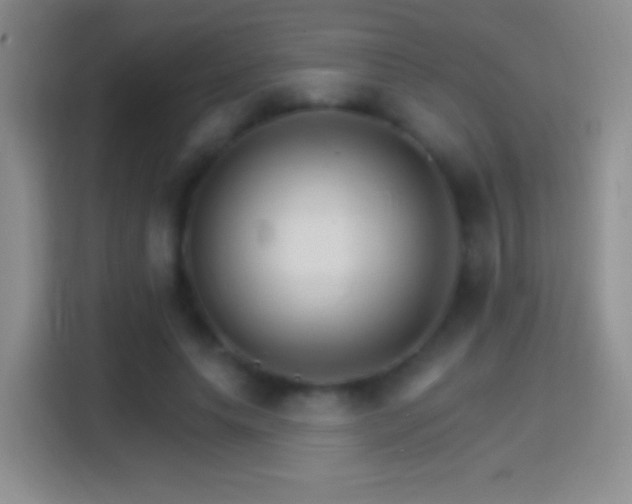 X0000114400639200910231110