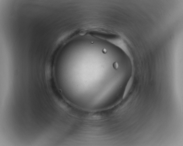 X0000114400640200910231110