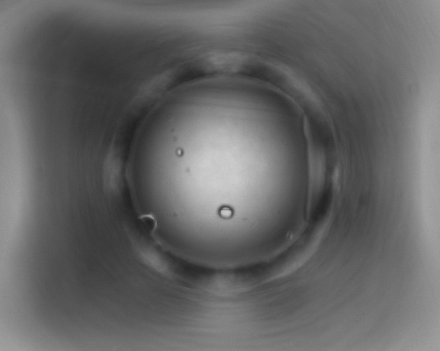 X0000114400641200910231110