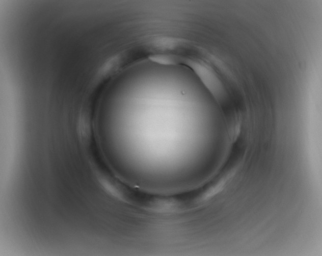 X0000114400642200910231110