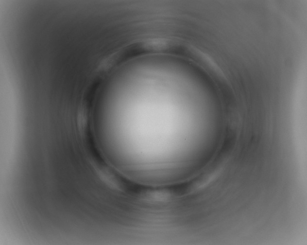 X0000114400645200910231110