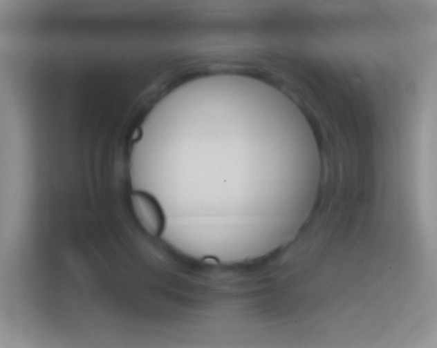 X0000114400648200910231110