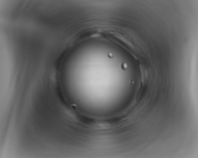 X0000114400650200910231110