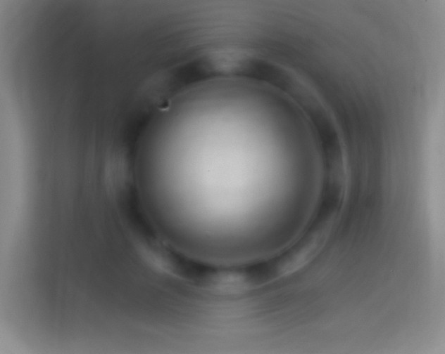 X0000114400651200910231110