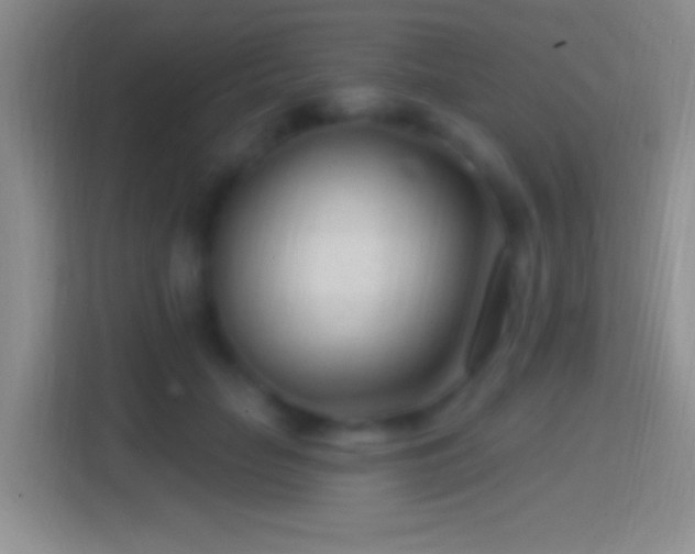 X0000114400653200910231110