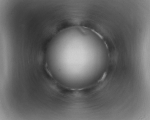 X0000114400656200910231110