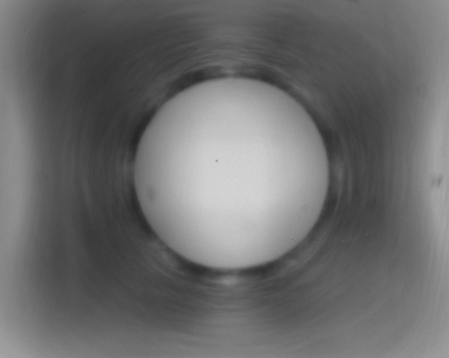 X0000114400657200910231110