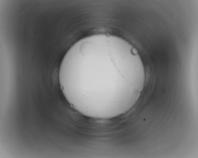 X0000114400659200910231110