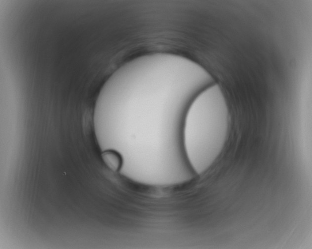 X0000114400660200910231110