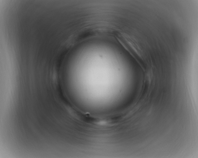 X0000114400662200910231110