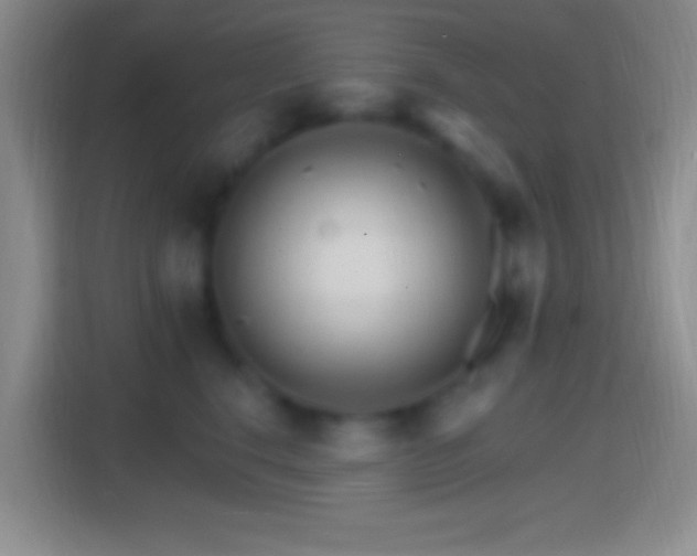 X0000114400664200910231110