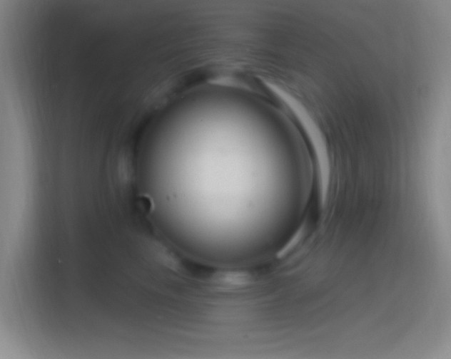 X0000114400665200910231110