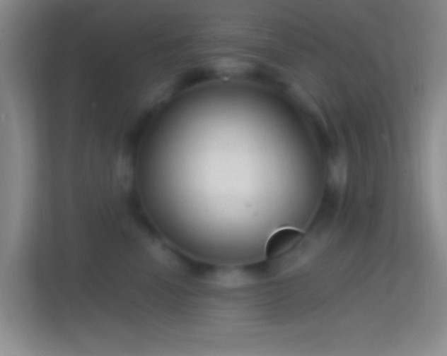 X0000114400666200910231110