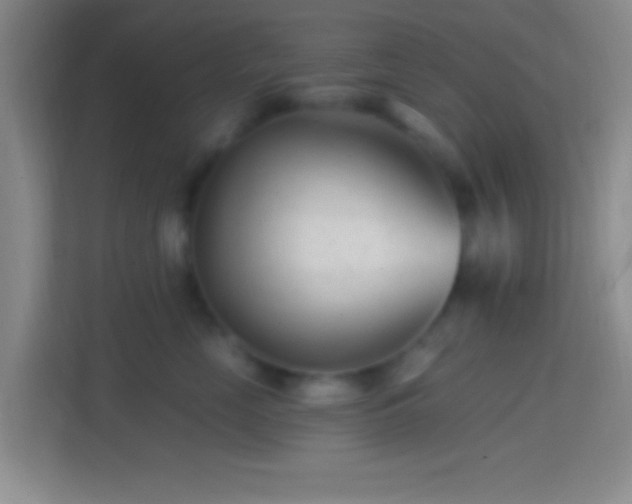 X0000114400669200910231110