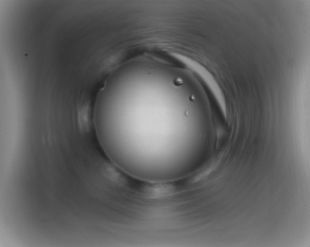 X0000114400670200910231110