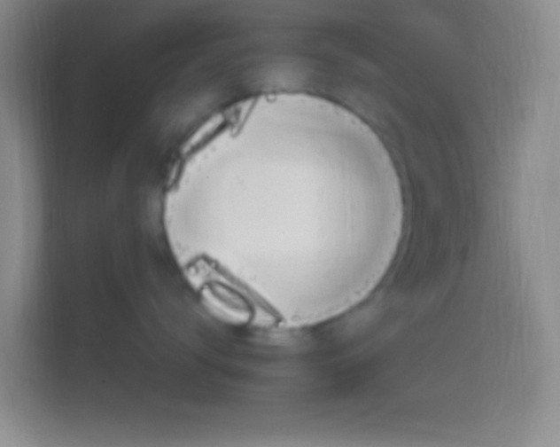 X0000114400672200910231111