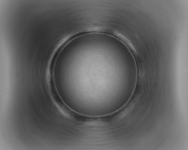 X0000114400674200910231110